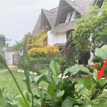 Botanica Eco Lodge Michamvi Dış mekan fotoğraf