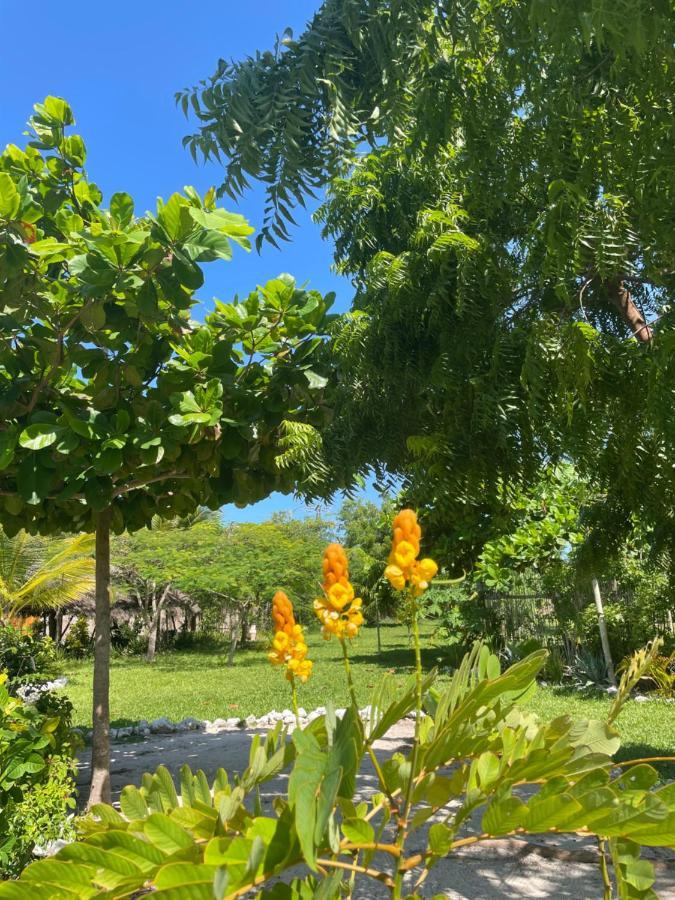 Botanica Eco Lodge Michamvi Dış mekan fotoğraf