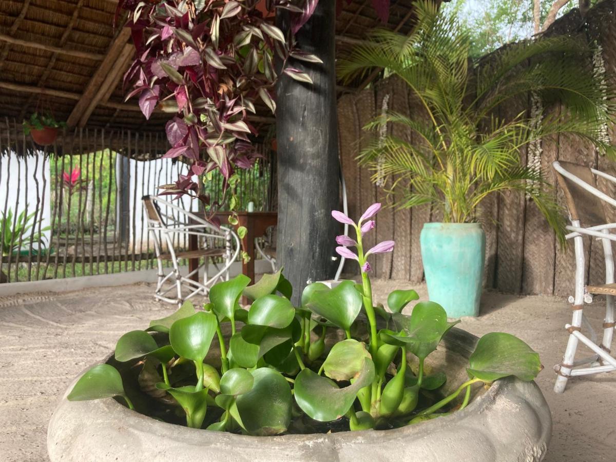 Botanica Eco Lodge Michamvi Dış mekan fotoğraf
