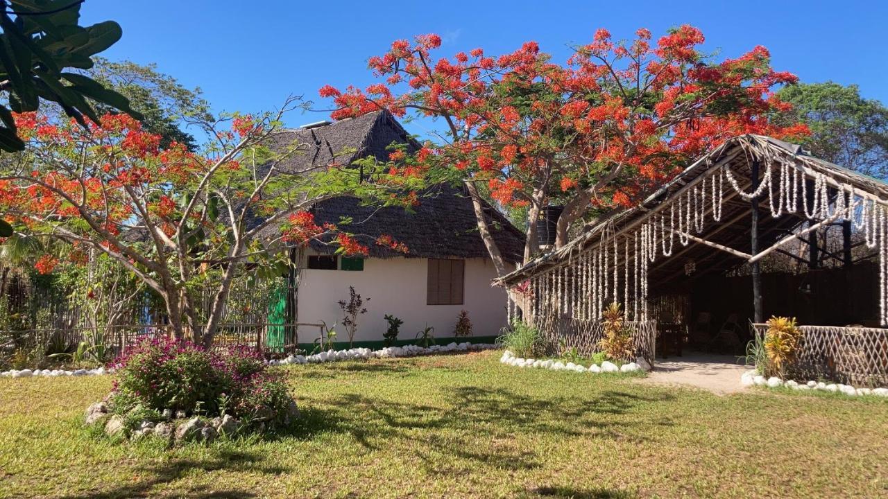 Botanica Eco Lodge Michamvi Dış mekan fotoğraf