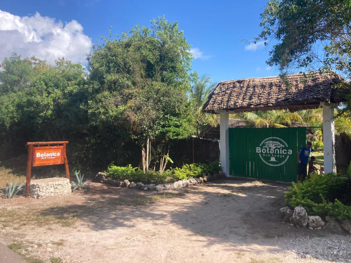 Botanica Eco Lodge Michamvi Dış mekan fotoğraf