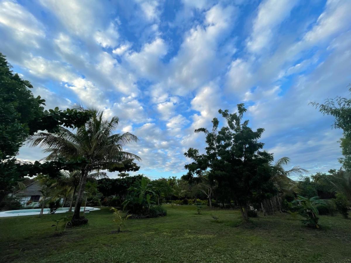 Botanica Eco Lodge Michamvi Dış mekan fotoğraf