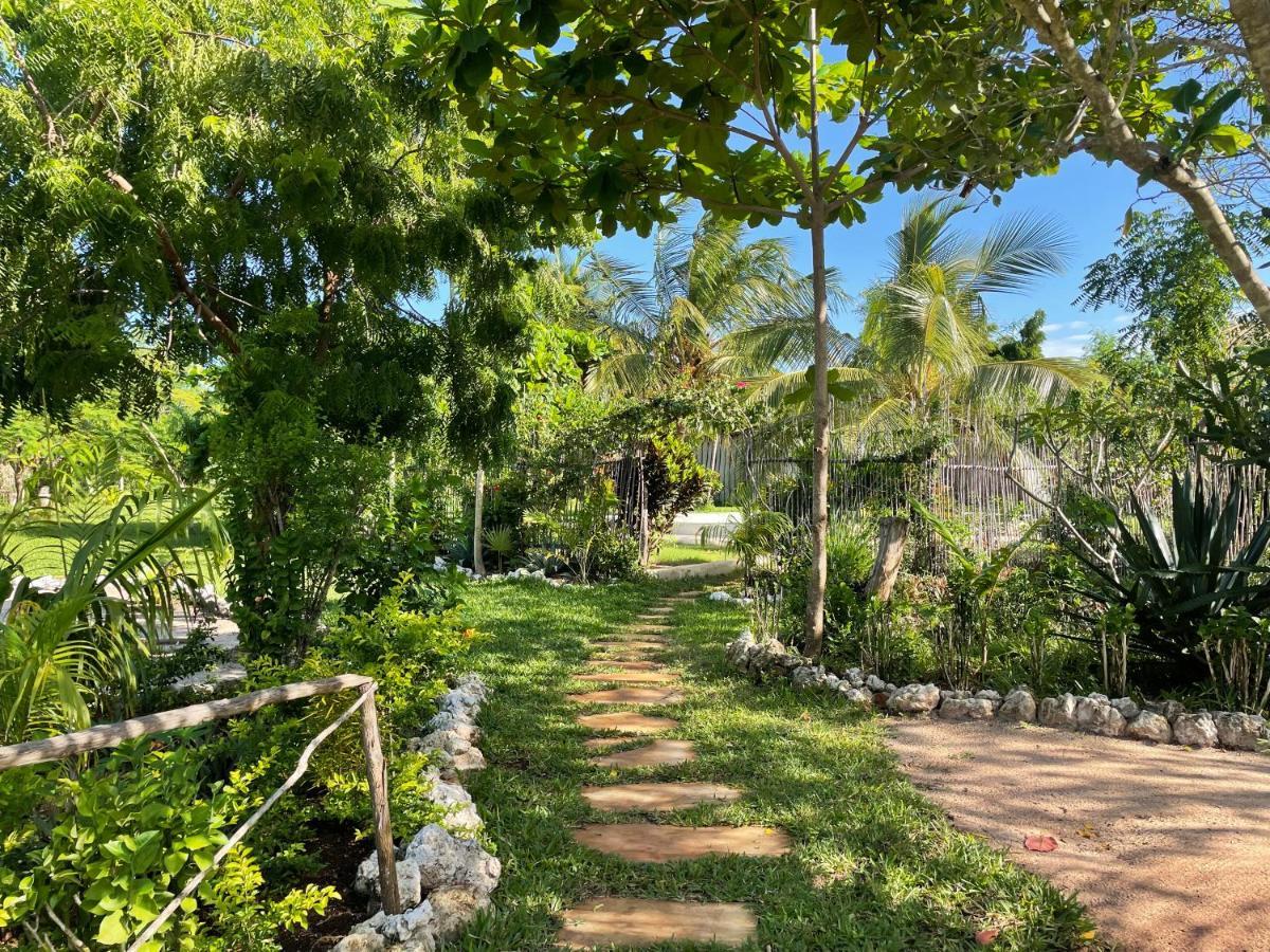 Botanica Eco Lodge Michamvi Dış mekan fotoğraf