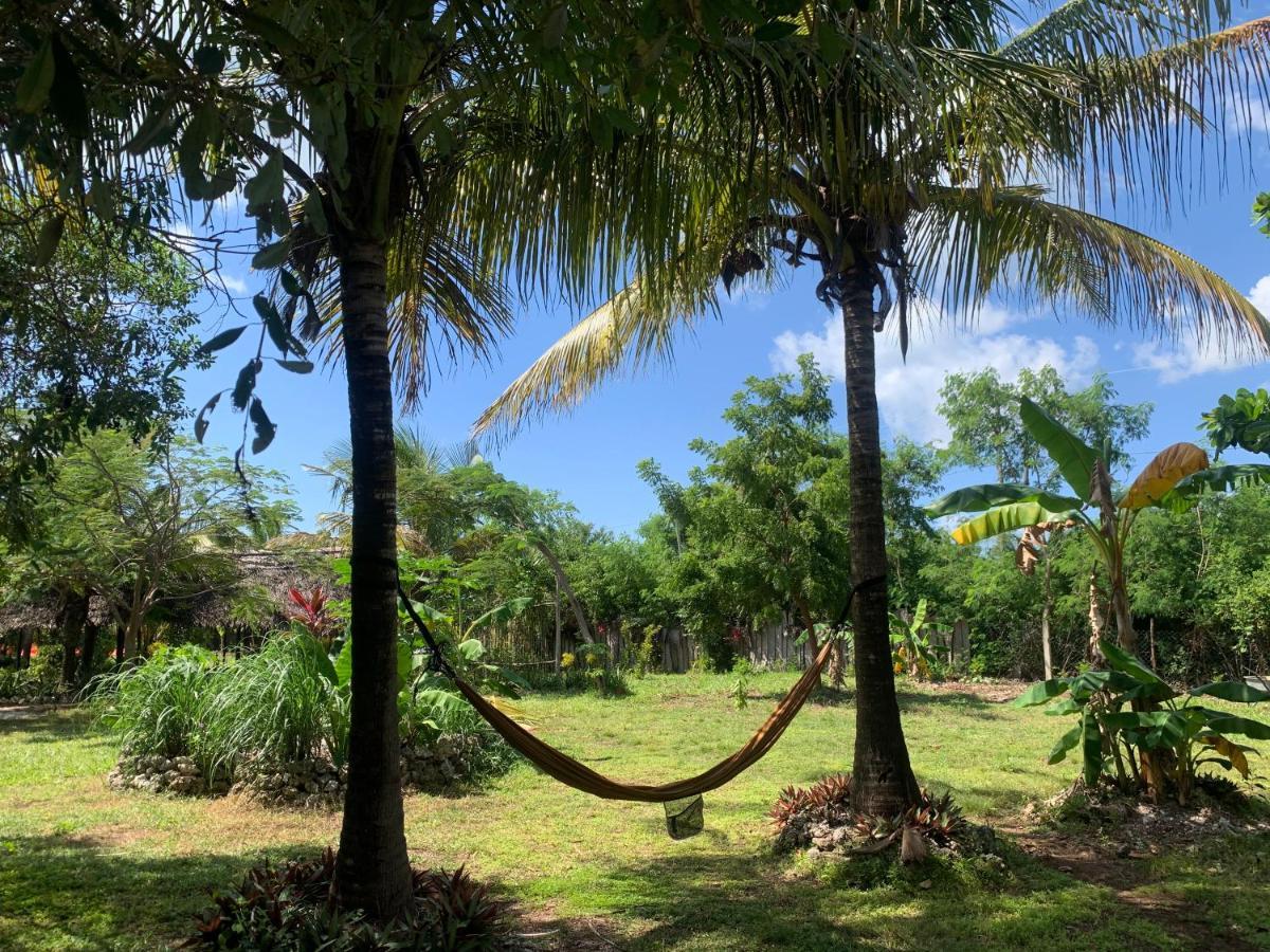 Botanica Eco Lodge Michamvi Dış mekan fotoğraf