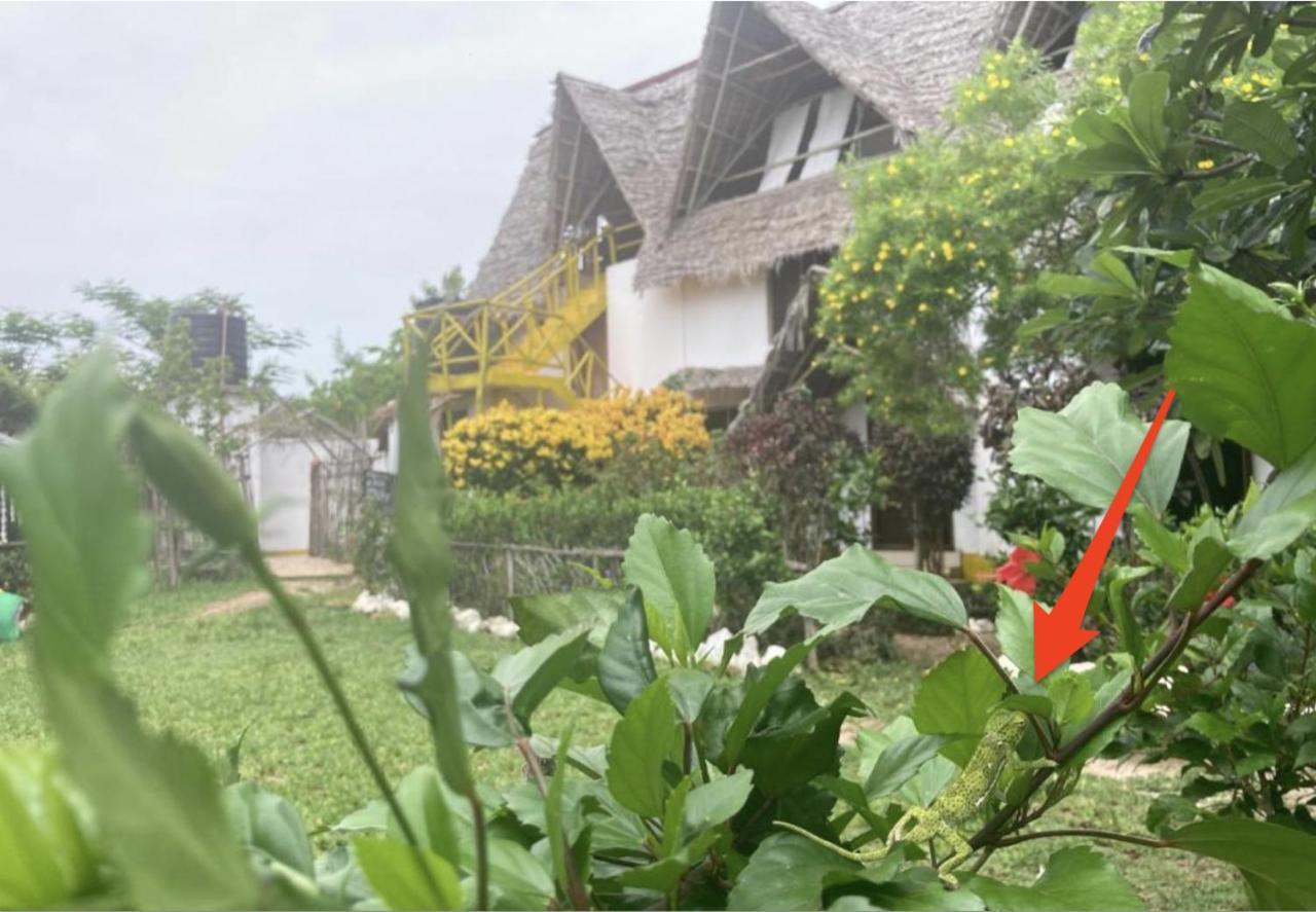 Botanica Eco Lodge Michamvi Dış mekan fotoğraf